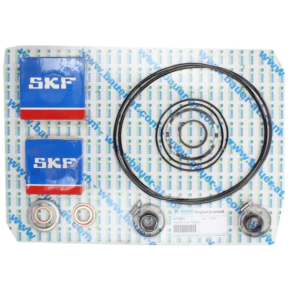 PTC-000326 ProTesCa Bauer FAN 6176501 Motorsatz MSXH Dichtungen und Lager Rührwerk Ersatzteil