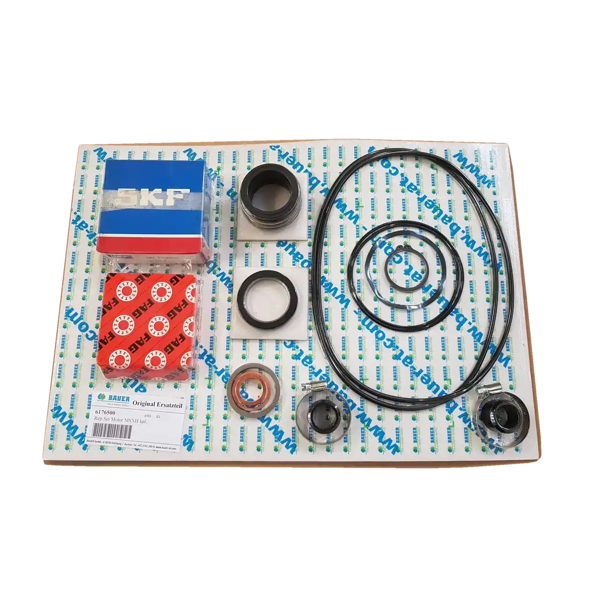 PTC-000382 ProTesCa Bauer FAN 6176500 MSXH Motor Kit + Mech. Seal slurry mixers spare part